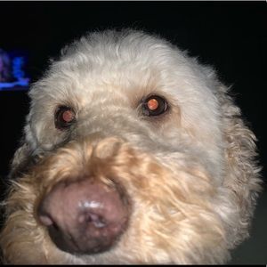 Meet your Posher, Cathleen